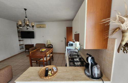 Casa Palmare - Foto 16