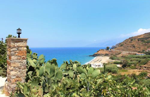 Ikaria Utopia - Cusco Studios - Photo 46