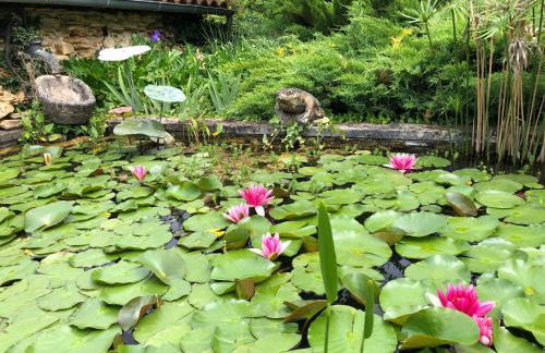 Le bon chemin Studio Stockholm - Foto 7