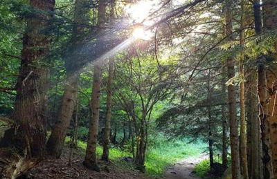 Apartaments Sort Pirineus - Foto 26