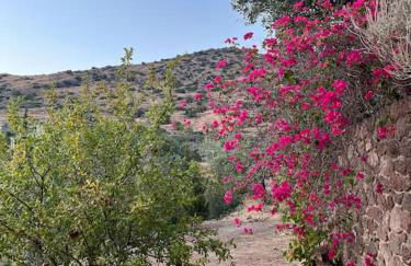 Private apartment in Marathonas, Aegina - Foto 19