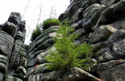 Schöne Ferienwohnung in Schauenstein-Hof im Frankenwald mit Loggia 100qm - Foto 46
