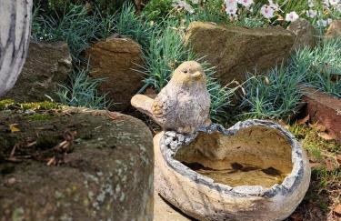 Gościniec Pod Bukiem - Foto 14