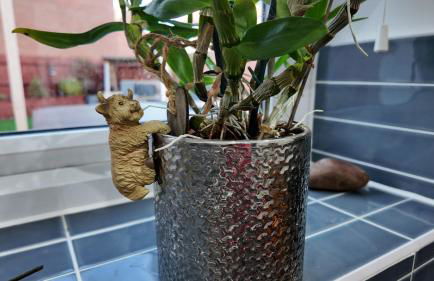 Lovett Haven Hot Tub near Bradgate Sleeps 6 - Foto 9