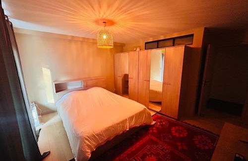 Au Bord du Logelbach - Foto 5