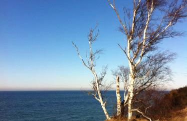 Haus Strandlaeufer - Foto 15