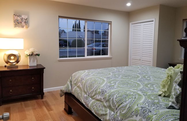 Juniper Berry - Foto 4