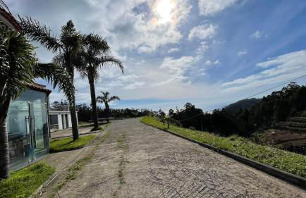 Hollywood villa - Foto 5