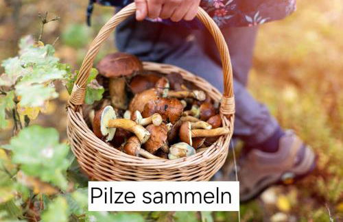 Ferienhaus Bucheneck perfekt für Familien & größere Gruppen im Seenland Lausitz - Foto 59