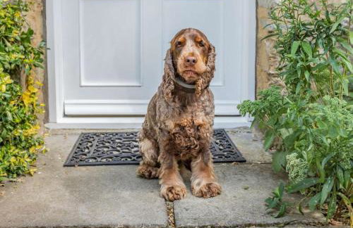 2 Bed in Taunton oc-88884 - Foto 11