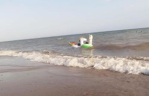 PERLA apartments - Photo 34