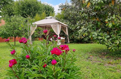 Apartamento con encanto l'Estany 2 - Foto 65