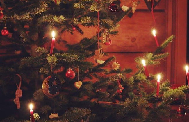 Charming 6 Bedroom House & Horse Farm - Sleeps 12 - Foto 33