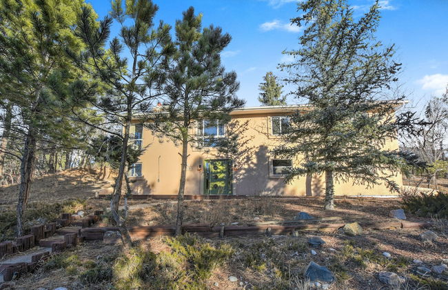 Thunderbird - Foto 40