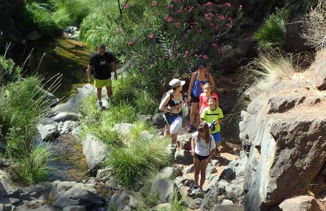 Senderismo por el Parque Nacional Sierra de las Nieves - Foto 5
