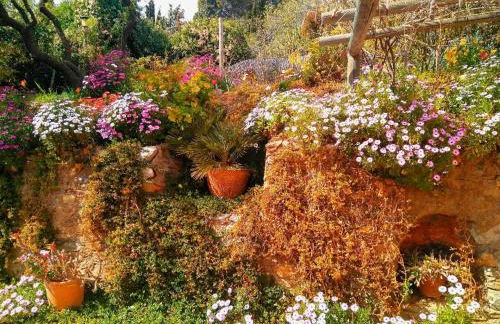 Casa Champasak - Foto 59