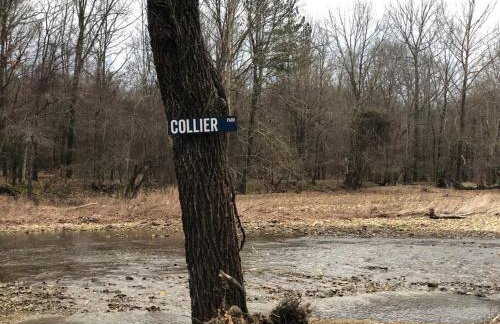 Collier Cabin on Collier Creek - Foto 39