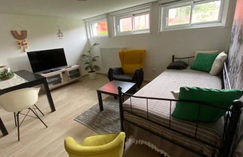 Close to PARIS, at HOUILLES, house within an exotic garden - Foto 10