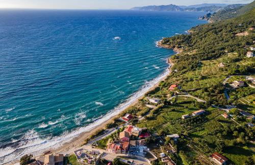 2-BR Apartment by the Sea - Photo 5