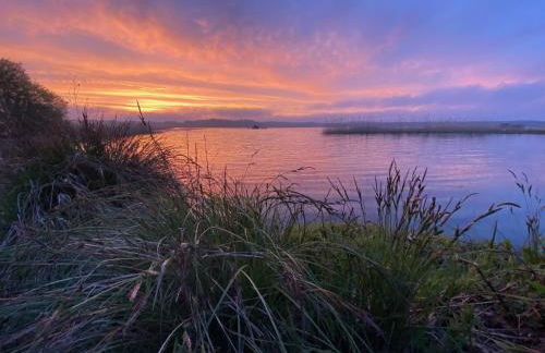 Domaine forestier Darricau au bord du lac, 12 min de l'océan - Foto 67