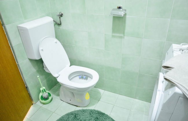 Waterfront Apartment Petrovina - Foto 21