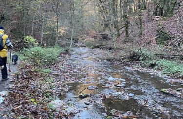 Charmante Ferienwohnung in Mastershausen/Hunsrück - Foto 22
