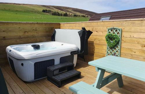 Lilly's Lodges Orkney Robin Lodge - Photo 32
