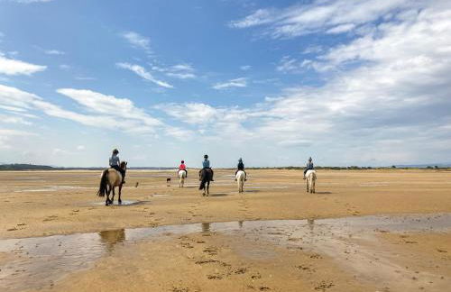 The Cherry Tree - Foto 26