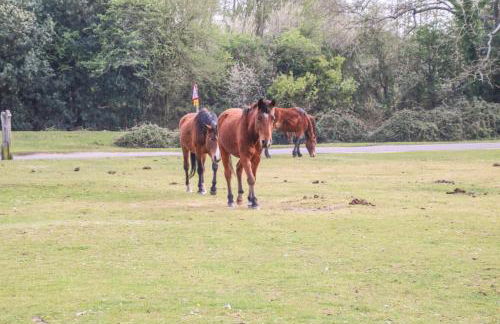 Lilac Cottage - Photo 38