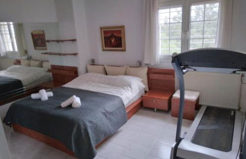 Villa in Panorama, Thessaloniki, with a swimming pool. Host: Mr. George - Foto 22