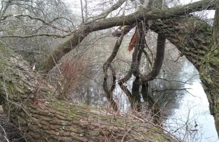 Ferienwohnung Wroblewsky - Foto 48