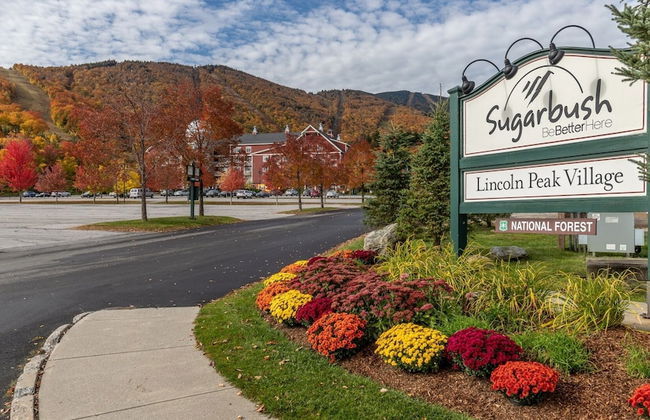 16 Village Run... 2 Bedroom Condo by RedAwning - Foto 31