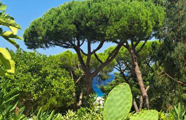 logement de charme en bord de plage - Foto 29