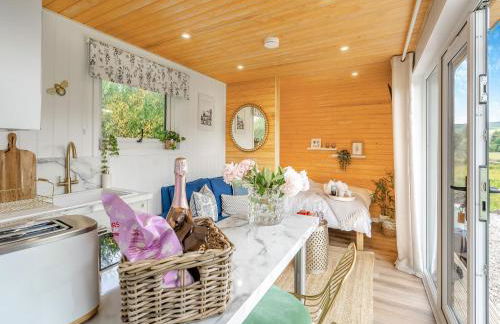 Freedom Fields - Bluebell - Photo 5