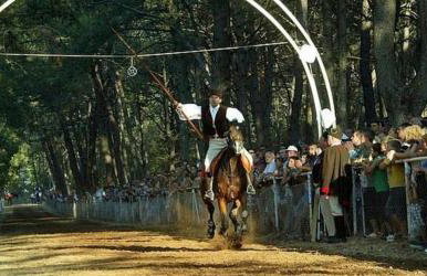 Casa Pasqua - Foto 48