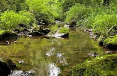 Fantastic A-Frame Cabin for a Couples' Getaway near Robesonia, Pennsylvania - Foto 35