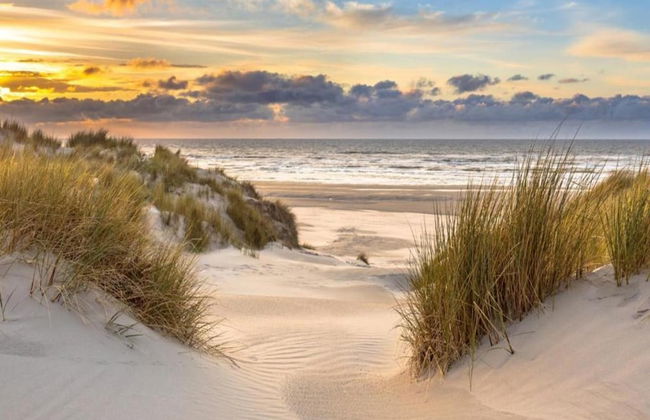 Apartment in Bergen Near Schoorl Dunes - Photo 23