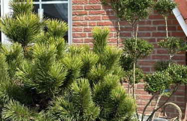 Ferienhaus Sandbar direkt am Deich - Foto 14