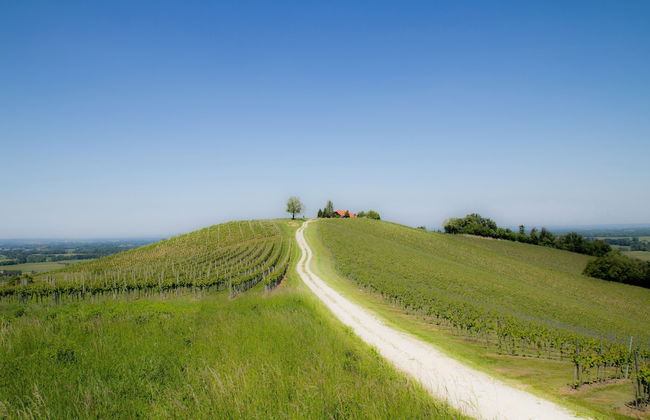 Holiday House Podhamer Marijan - Foto 36