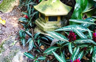 Loft Aconchegante em Meio à Natureza - Foto 55