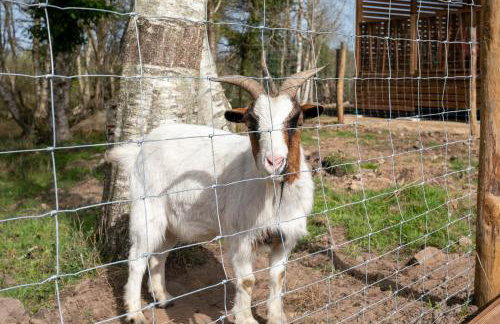 Village de gites Stereden - Photo 29