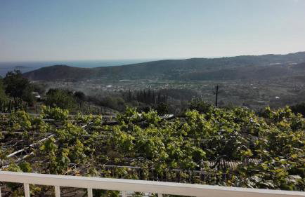 Apartments with a parking space Buici, Dubrovnik - 12987 - Foto 14