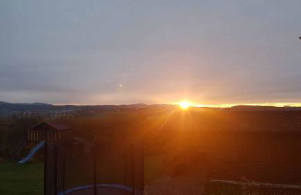 Bauernhof Nißl - Foto 15