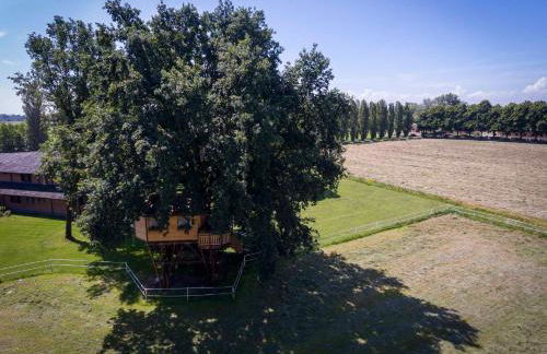 Agriturismo Relais Tenuta il Cigno - Foto 130