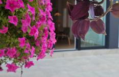 Albayda Garden - Foto 8