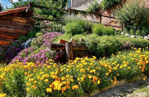 Apartment Il Ghiro by Interhome - Foto 7