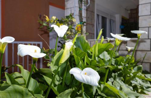 Apartments Marija - Photo 44