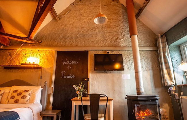 High Paradise Farm - Foto 21