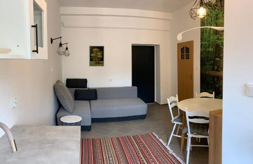 Apartamenty Stacja - Foto 10