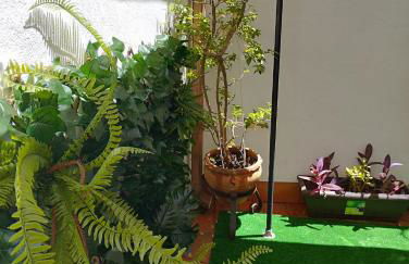 Patios con encanto - Foto 10